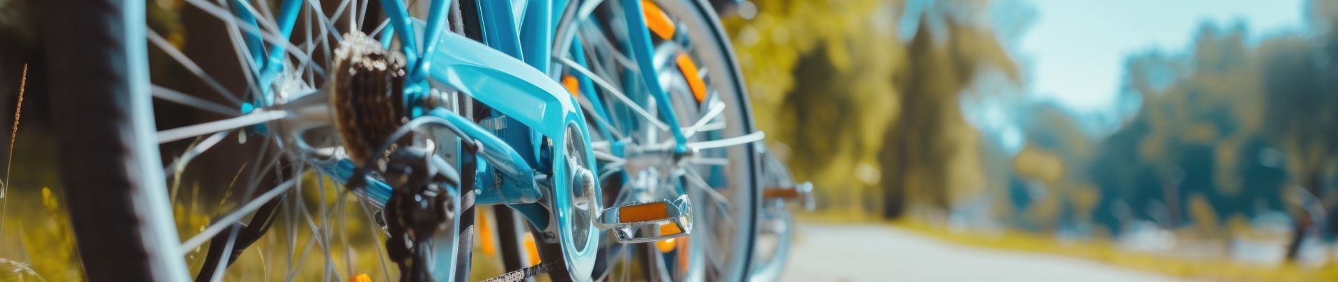 Geparkeerde blauwe fiets op een pad met bomen